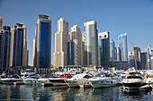 Dubai Marina, Dubai, United Arab Emirates, Middle East