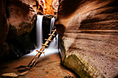 Kanarra Creek Canyon, Kanarraville, Utah, United States of America, North America