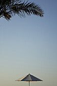 Sonnenschirm, Palme, Abu Dhabi, Vereinigte Arabische Emirate, VAE