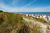 Strandkörbe am Strand, Insel Poel, Wismar, Ostsee, Norddeutschland, Deutschland, Europa, Sommer, Norden, Ferien