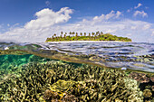 Half above and half below on a remote small Islet in the Badas Island Group off Borneo, Indonesia, Southeast Asia, Asia