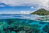 Half above and half below view of coral reef at Pulau Setaih Island, Natuna Archipelago, Indonesia, Southeast Asia, Asia
