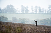 Gun shooting on a pheasant shoot in Wiltshire, England, United Kingdom, Europe