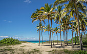 Playa De L'Este, Havana, Cuba, West Indies, Caribbean, Central America