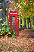 Red telephone box in autumn, Teversal Village, Nottinghamshire, England, United Kingdom, Europe