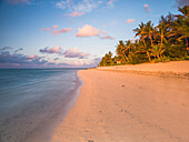 Tropical beach with palm trees at sunrise, Rarotonga, Cook Islands, South Pacific, Pacific