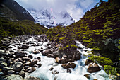 Rio Frances, French Valley Valle del Frances, Torres del Paine National Park, Patagonia, Chile, South America