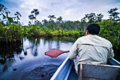 Dugout canoe boat ride in narrow waterway, Amazon Rainforest, Coca, Ecuador, South America
