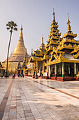 Shwedagon Pagoda Shwedagon Zedi Daw Golden Pagoda, Yangon Rangoon, Myanmar Burma, Asia