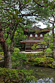 Ginkaku-ji Silver Pavillion, classical Japanese temple and garden, main hall, pond and leafy trees in summer, Kyoto, Japan, Asia