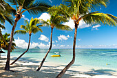 Turquoise sea and white palm fringed beach at Wolmar, Black River, Mauritius, Indian Ocean, Africa