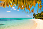 Turquoise sea and white palm fringed beach, Le Morne, Black River, Mauritius, Indian Ocean, Africa