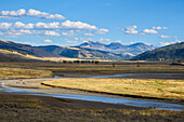 Lamar Valley, Yellowstone National Park, UNESCO World Heritage Site, Wyoming, United States of America, North America