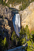 Lower Falls, Yellowstone River, Yellowstone National Park, UNESCO World Heritage Site, Wyoming, United States of America, North America