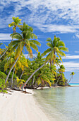 Couple on beach at Les Sables Roses Pink Sands, Tetamanu, Fakarava, Tuamotu Islands, French Polynesia, South Pacific, Pacific