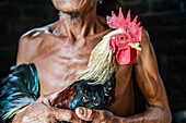 Close up of farmer holding chicken