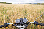 Motorcycle handlebar in tall grass