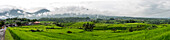 Panoramic view of rural rice paddies, Jatiluwih, Bali, Indonesia