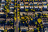 Aerial view of Seattle neighborhood, Washington, United States