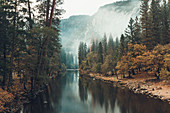 River and Trees with Autumn Foliage, Yosemite National Park, California, USA