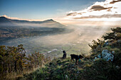 Two Hunting Dogs on Cliff Overlooking Susa Valley, Piedmont, Italy