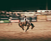 Blurred Cowboy on Bucking Bronco at Rodeo