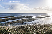 view to the Wadden sea, island of Sylt, Schleswig-Holstein, north Germany, Germany