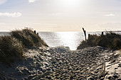 Nature reserve at Ellenbogen, island of Sylt, Schleswig-Holstein, north Germany, Germany