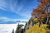 Frau steht an Felskante und blickt auf Nebelmeer im Inntal, Wendelstein im Hintergrund, Heuberg, Chiemgau, Chiemgauer Alpen, Oberbayern, Bayern, Deutschland