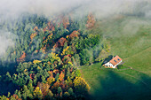 Forest in autumn colours and alpine hut, Heuberg, Chiemgau, Chiemgau Alps, Upper Bavaria, Bavaria, Germany