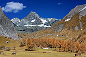Alpine huts with Grossglockner in background, Lucknerhaus, Glockner Range, High Tauern, High Tauern National Park, East Tyrol, Tyrol, Austria