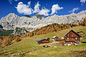 Alpine huts of Neustattalm with Torstein, Mitterspitz and Dachstein, Neustattalm, Dachstein range, Styria, Austria