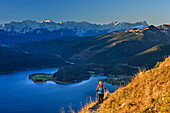 Frau wandert auf Jochberg, Walchensee mit Wetterstein mit Zugspitze im Hintergrund, Jochberg, Bayerische Alpen, Oberbayern, Bayern, Deutschland