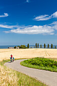 Fahrradtour, Mutter und Sohn machen eine Radtour an Weizenfelder vorbei, Kornfeld, dänische Ostseeinsel, Ostsee, Insel MR, Bornholm, bei Gudhjem, Dänemark, Europa
