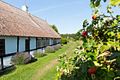 Farm house, half-timbered house, summer cottage, Baltic sea, Bornholm, near Balka Beach, near Snogebaek, Denmark, Europe