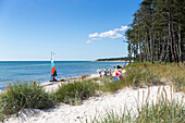 Family on the beach, dream beach between Strandmarken und Dueodde, sandy beach, summer, Baltic sea, Bornholm, Strandmarken, Denmark, Europe