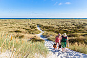 Dream beach and dunes of Dueodde, sandy beach, Summer, Baltic sea, Bornholm, Dueodde, Denmark, Europe