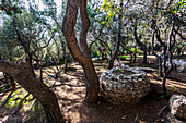 Ruined structures, Athens, Greece