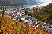 Overview of Bacharach and the Rhine River in autumn, Rhineland-Palatinate, Germany, Europe