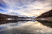 Snowy peaks and woods are reflected in Lake Silvaplana at sunset, Maloja, Canton of Graubunden, Engadine, Switzerland, Europe