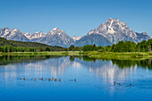 Small lake in Grand Teton National Park, Wyoming, United States of America, North America