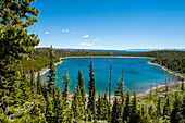 Duck Lake in Yellowstone National Park, UNESCO World Heritage Site, Wyoming, United States of America, North America