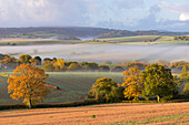 Misty morning over rolling autumnal countryside, Dartmoor, Devon, England, United Kingdom, Europe