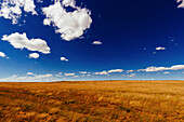 Agricultural field against blue sky