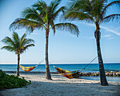 Hammocks tied to palm trees on beach against sky