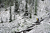 Early winter snow covers the trail as woman hikes in the Glacier Peak Wilderness outside of Leavenworth, Washington September 2011.  This 14-mile loop in the Entiat Mountains starts at the Phelps Creek trailhead leads up to Upper Ice Lake via Leroy Creek 