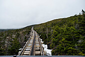 Train tracks heading through the alpine trees on the slopes of Mount Washington, NH