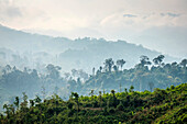 Jungle landscape along Ho Chi Minh Highway West, Ph??c S?n District, Qu?ng Nam Province, Vietnam