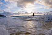 A young woman stand in the surf at sunrise. Blueys Beach, Australia