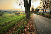 Afternoon landscape and road. Frankenjura, Bavaria, Germany.